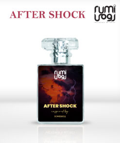 AFTER SHOCK
